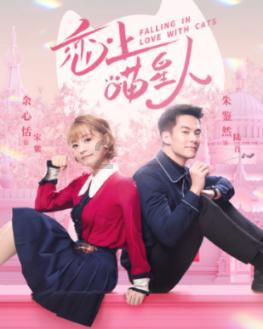 我已经交了20年的养老保险，现在公司解除劳动合同了，问题是还有一年就退休了，请问这一年是我自己交？游戏画面